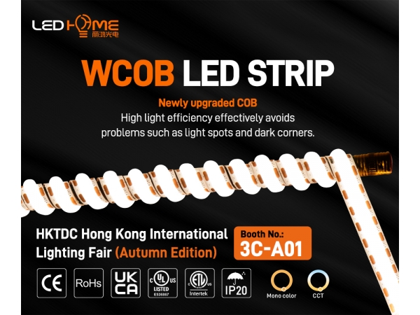 Innovative Lighting, Brightening the Future